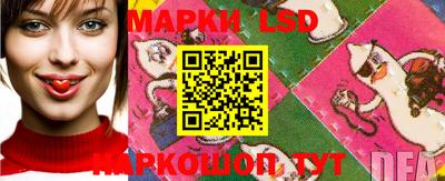 спиды Можайск