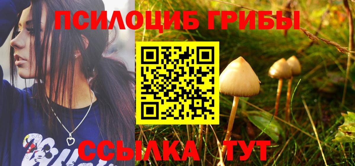Псилоцибиновые грибы Magic Shrooms Тимашёвск