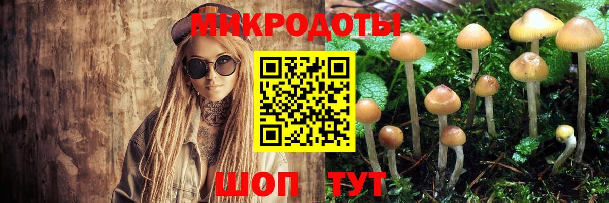 Тимашёвск  закладка  Вход с VPN  Псилоцибиновые грибы мицелий 